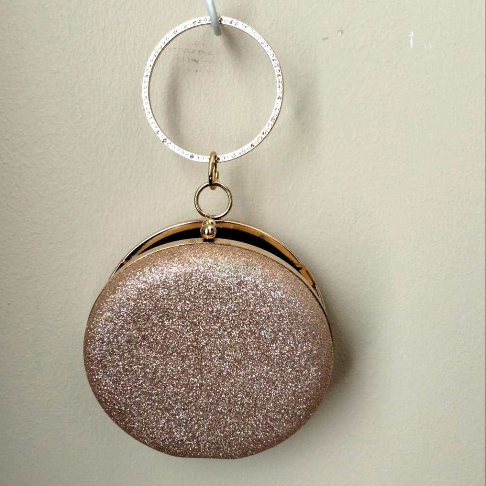 Dressy clutch purse 011